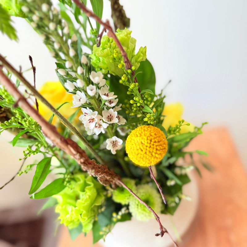 Månedens Blomst April - Direktørens Drøm
