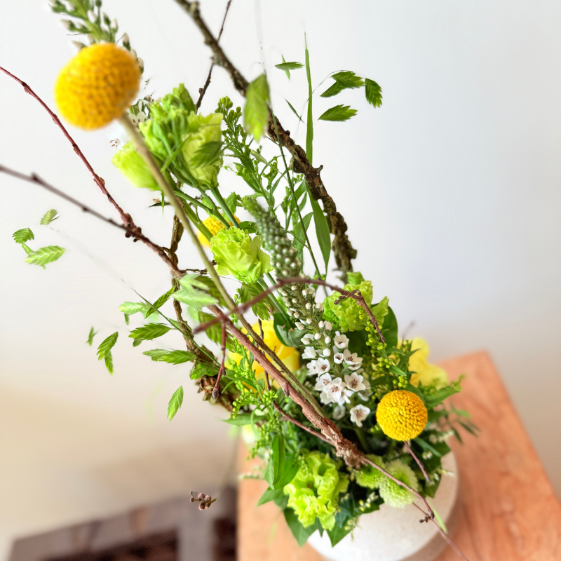 Månedens Blomst April - Direktørens Drøm