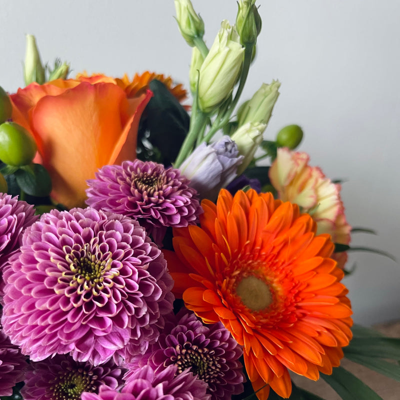 LILLA & ORANGE