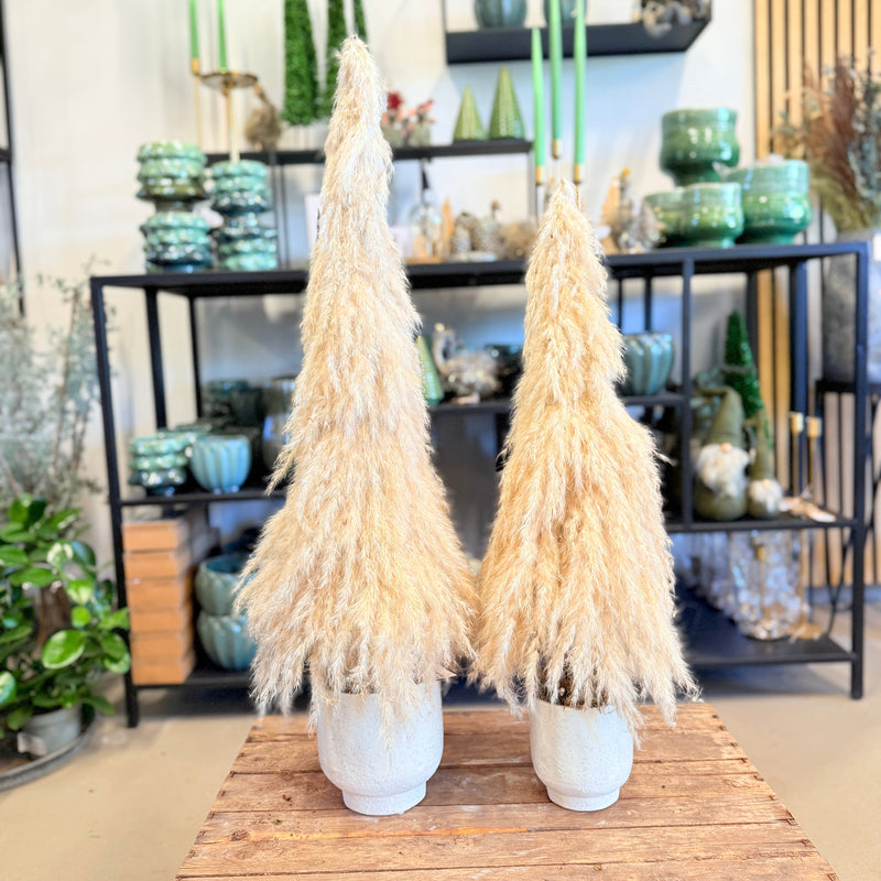 Pampas juletræ med glimmer – str. Small