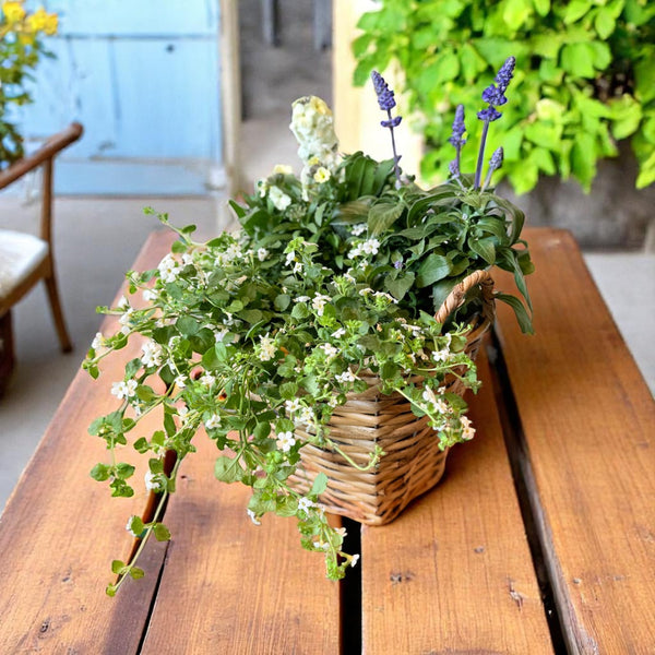 Sommerkurv med blomstrende liv og grønne glæder