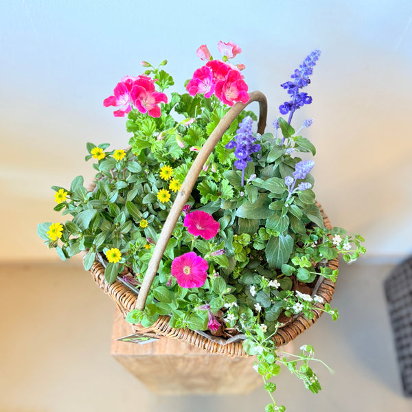 Sommerkurv med farverige blomster – klar til at glæde