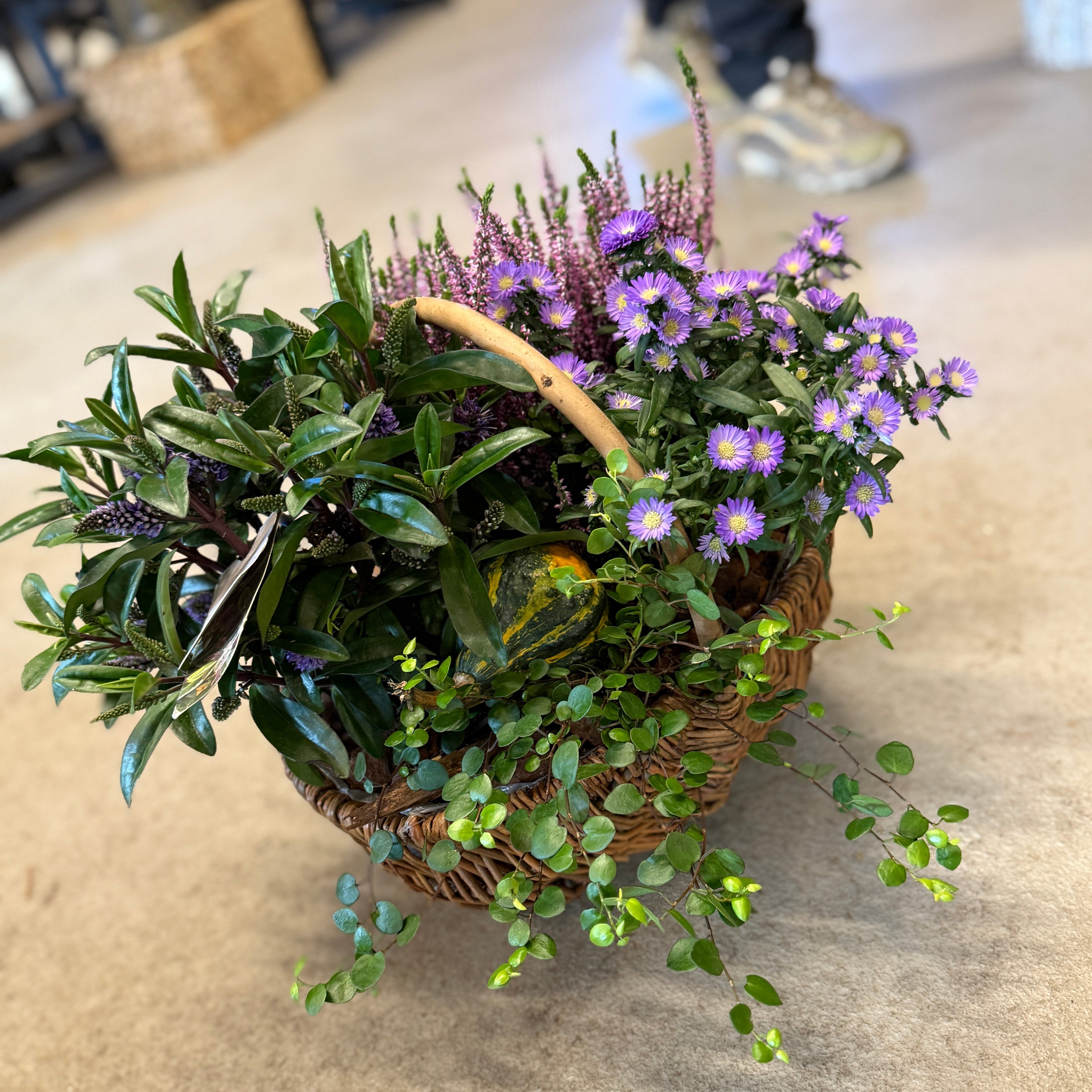 Efterårskurv med planter – færdigplantet i kurv – BringBlomster