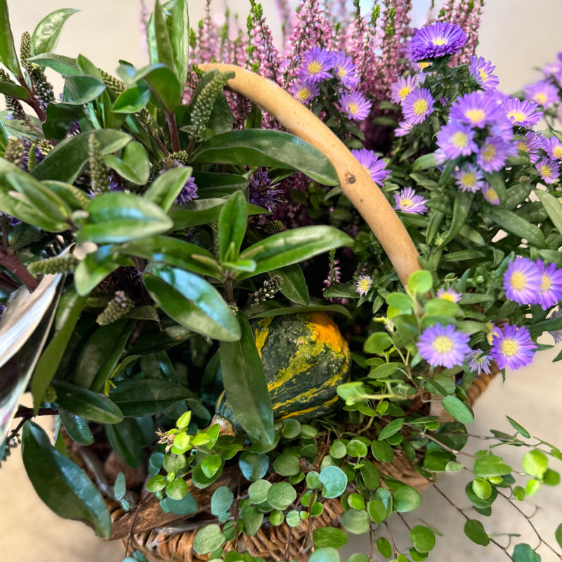 Efterårskurv – Frodig plantekurv i sæsonens farver 🍂