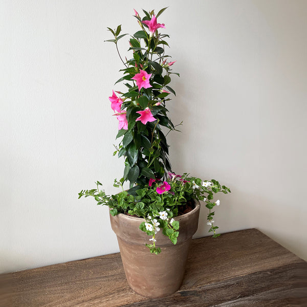 KRUKKE MED SOMMERBLOMSTER