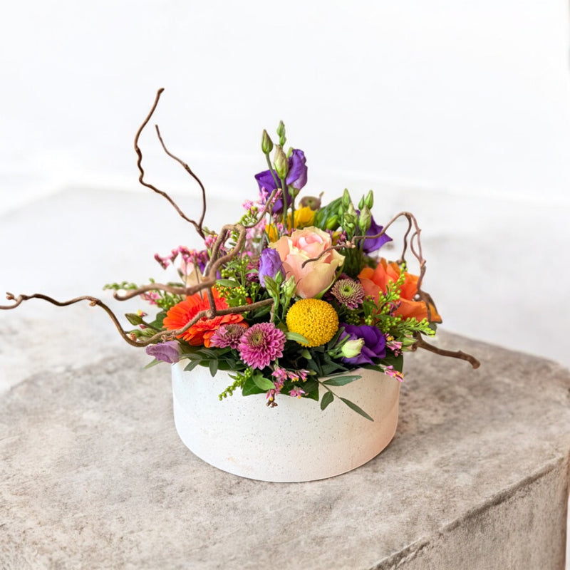 Månedens Blomst April - Vild & Vidunderlig